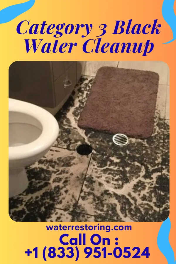 Category 3 Black Water Cleanup in Rolling Fork, MS