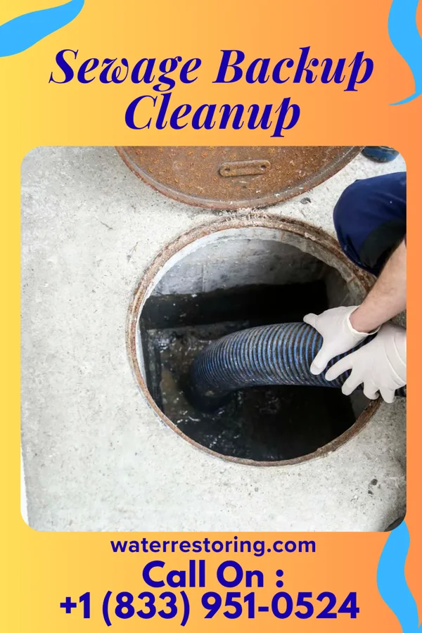 Sewage Backup Cleanup in Rolling Fork, MS